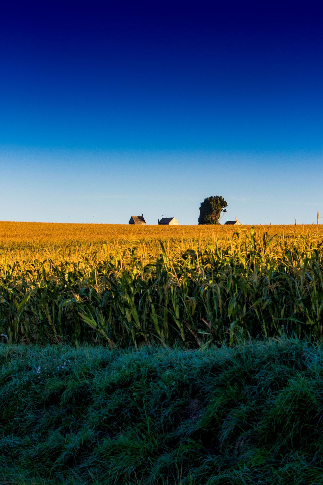 campagne boutenac touvent