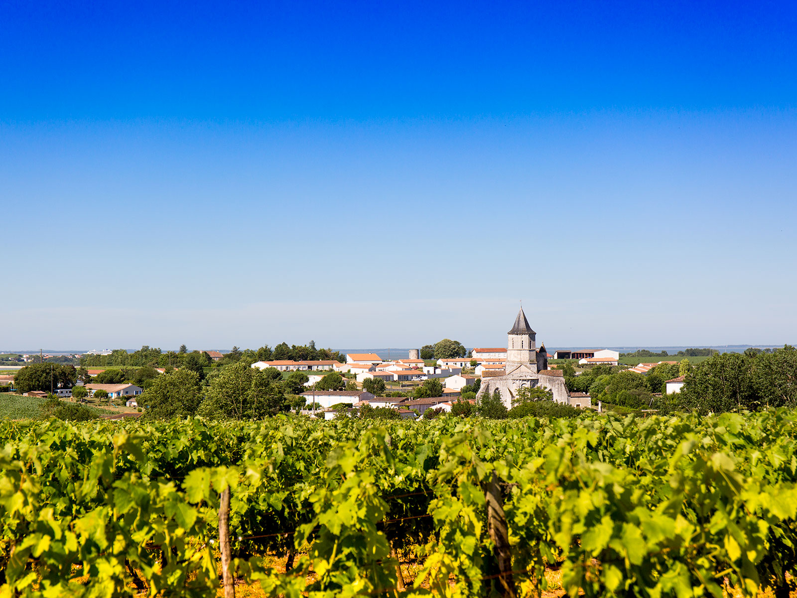 Clocher d'Arces-sur-Gironde