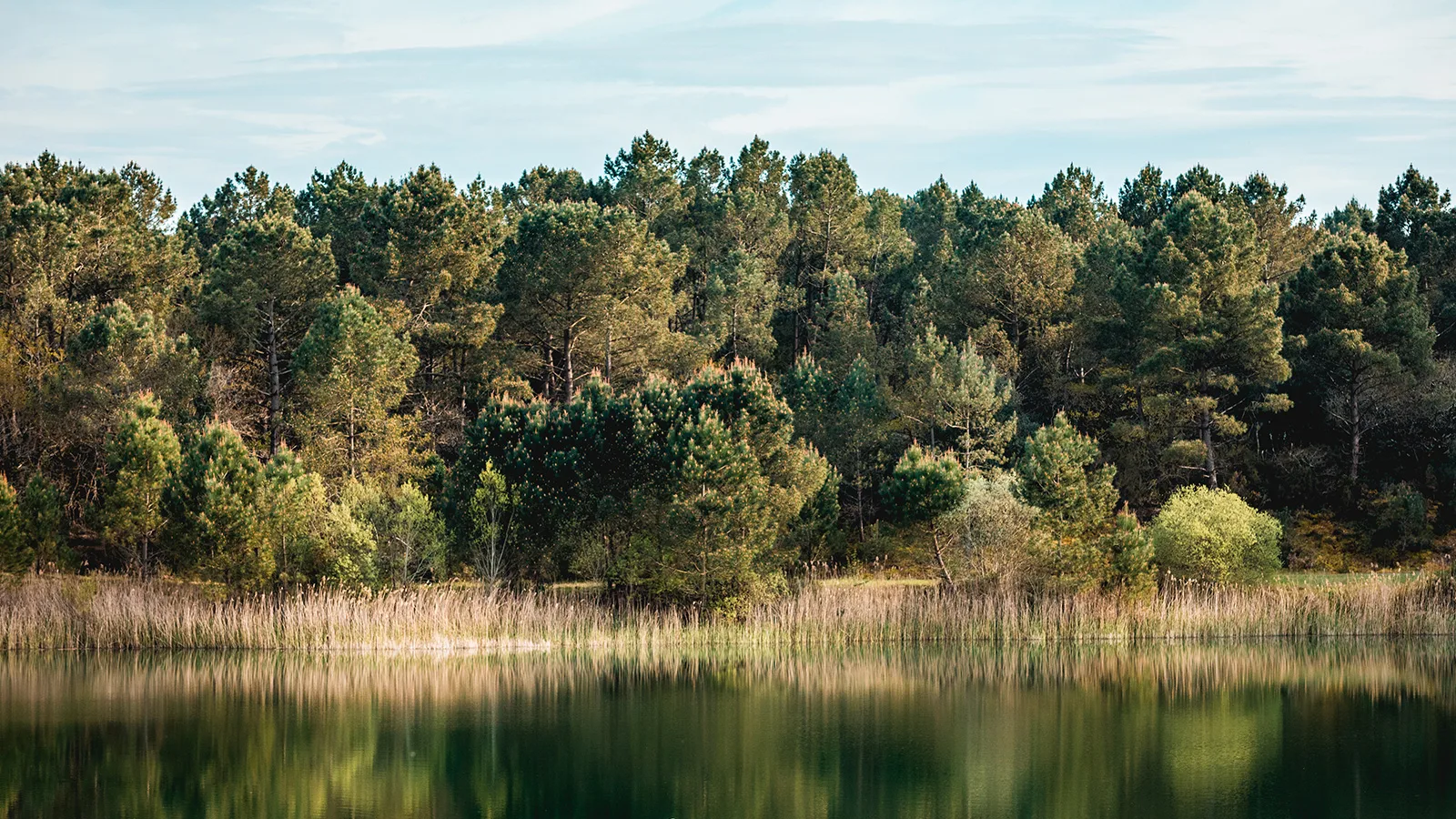 Court séjour nature en forêt de la Coubre 3J/2N