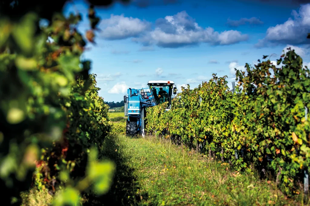 Vendanges mécaniques au cœur des Vignobles Royan Atlantique