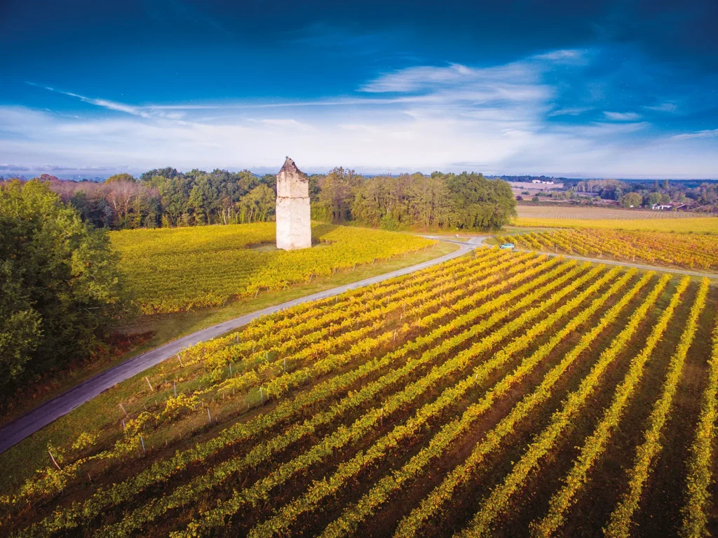 Vignobles Royan Atlantique entre deux estuaires