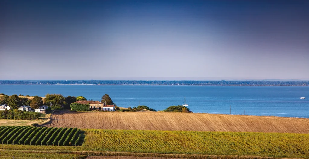 Vignobles Royan Atlantique et estuaire de la Gironde en arrière plan