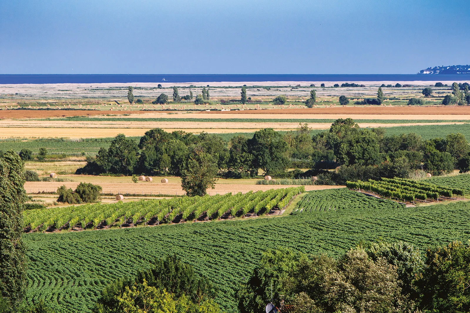 Vignobles Royan Atlantique sur les rives de l'estuaire de la Gironde