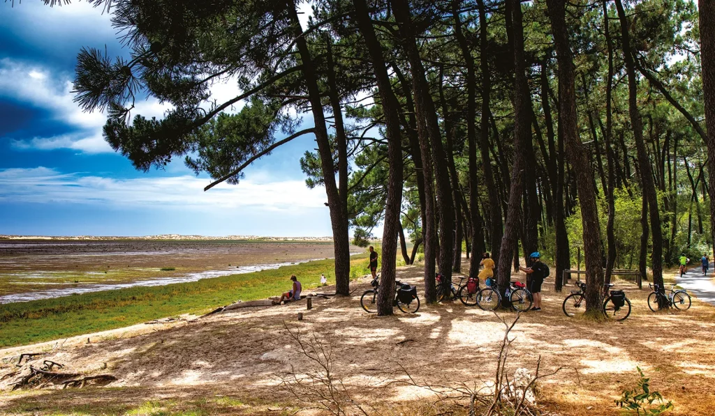 Baie de Bonne Anse à La Palmyre