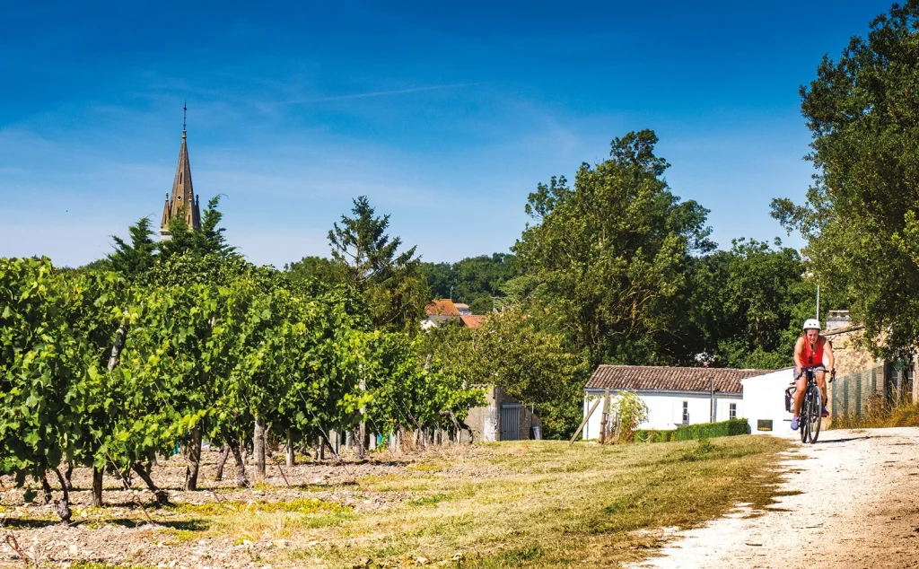 Vélo à travers les vignobles sur le Canal des 2 Mers