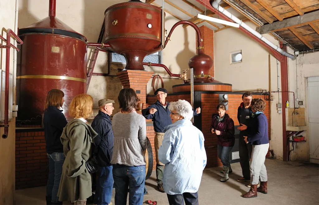 Visite du Domaine des Claires à Arvert