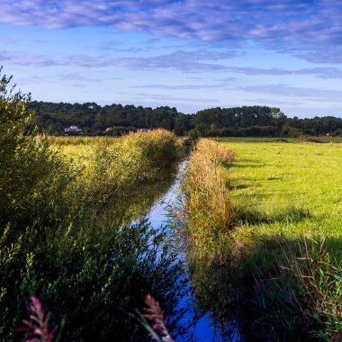 Canal sur les marais doux de Saint-Augustin-sur-Mer