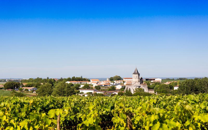 Clocher d'Arces-sur-Gironde