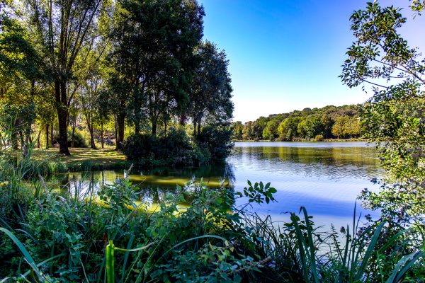 Le lac du parc Raymond Vignes à Saint-Palais-sur-Mer