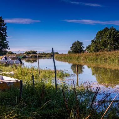 Campagne de Saujon