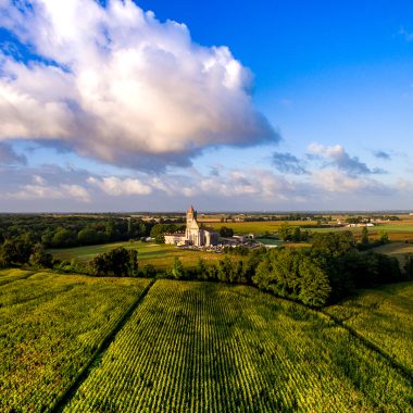 vignoble-champs-abbaye-sablonceaux