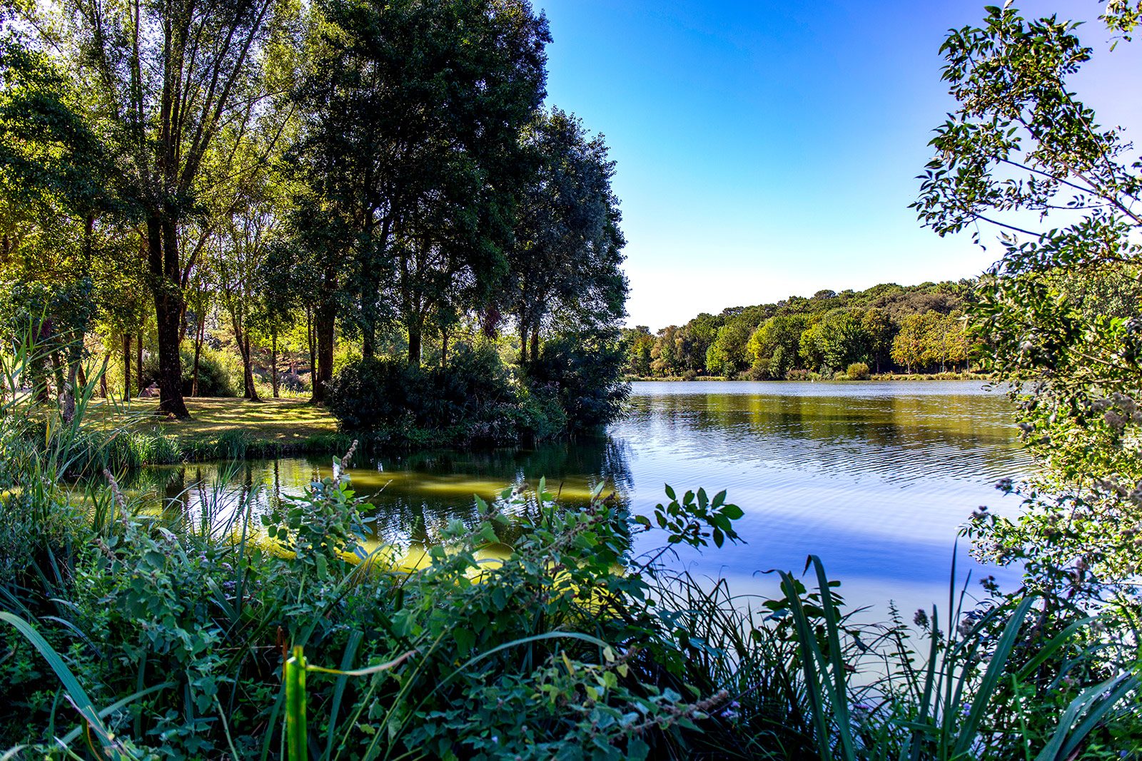 parc-Saint-Palais-sur-Mer