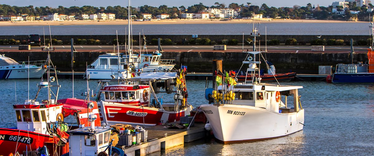 bateaux-port-peche-royan