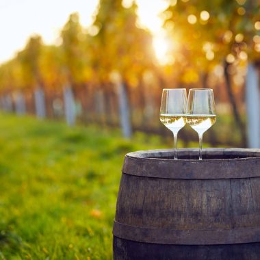 Verres de vin blanc charentais dans les vignes