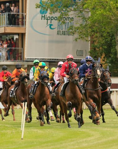 Course de plat à l'hippodrome Royan Atlantique