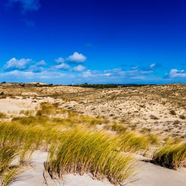 Dunes blanche oyats côte sauvage