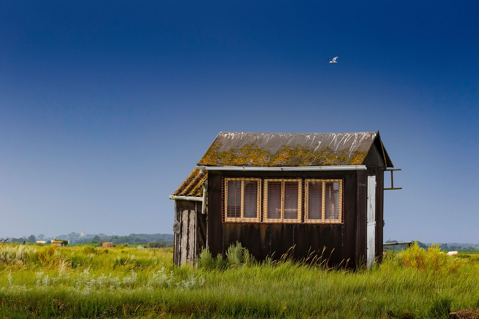 cabane-ostreicole-seudre