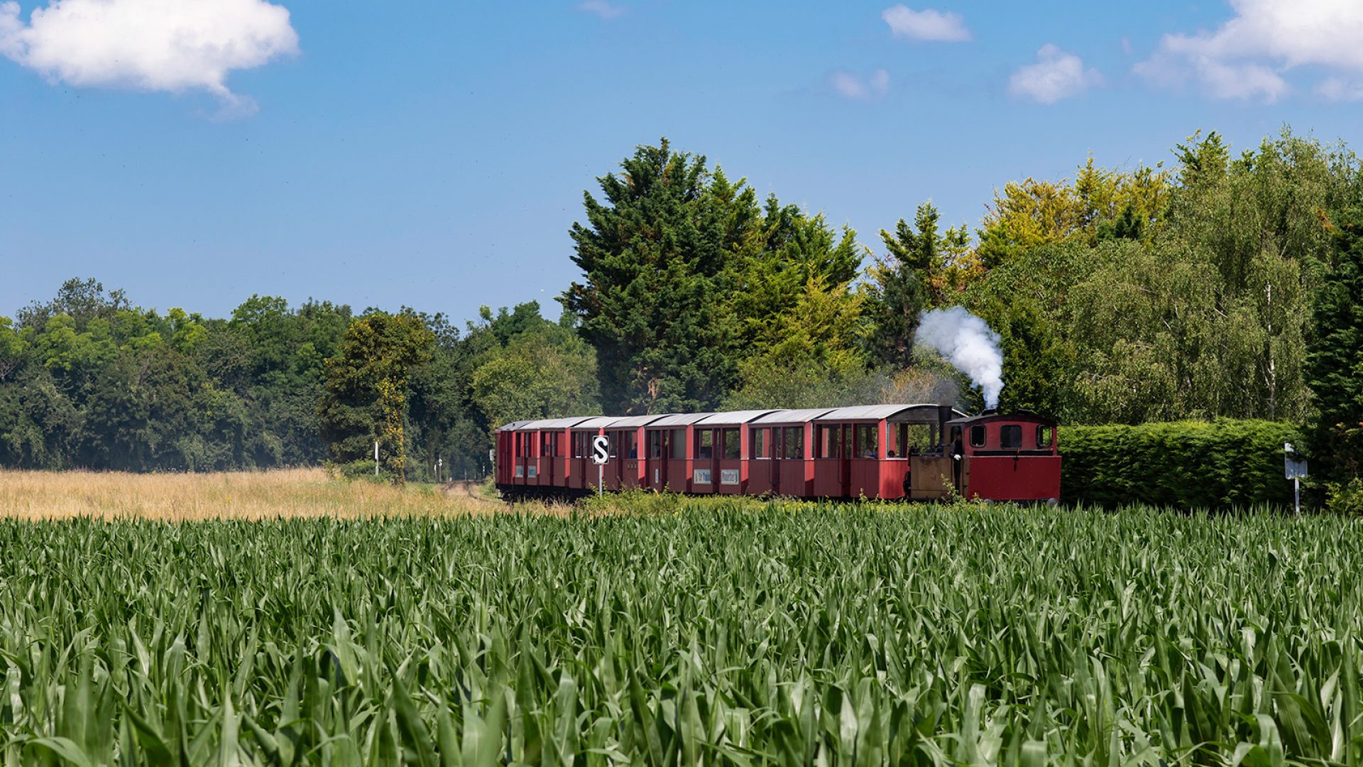 train-des-mouettes-royan-atlantique