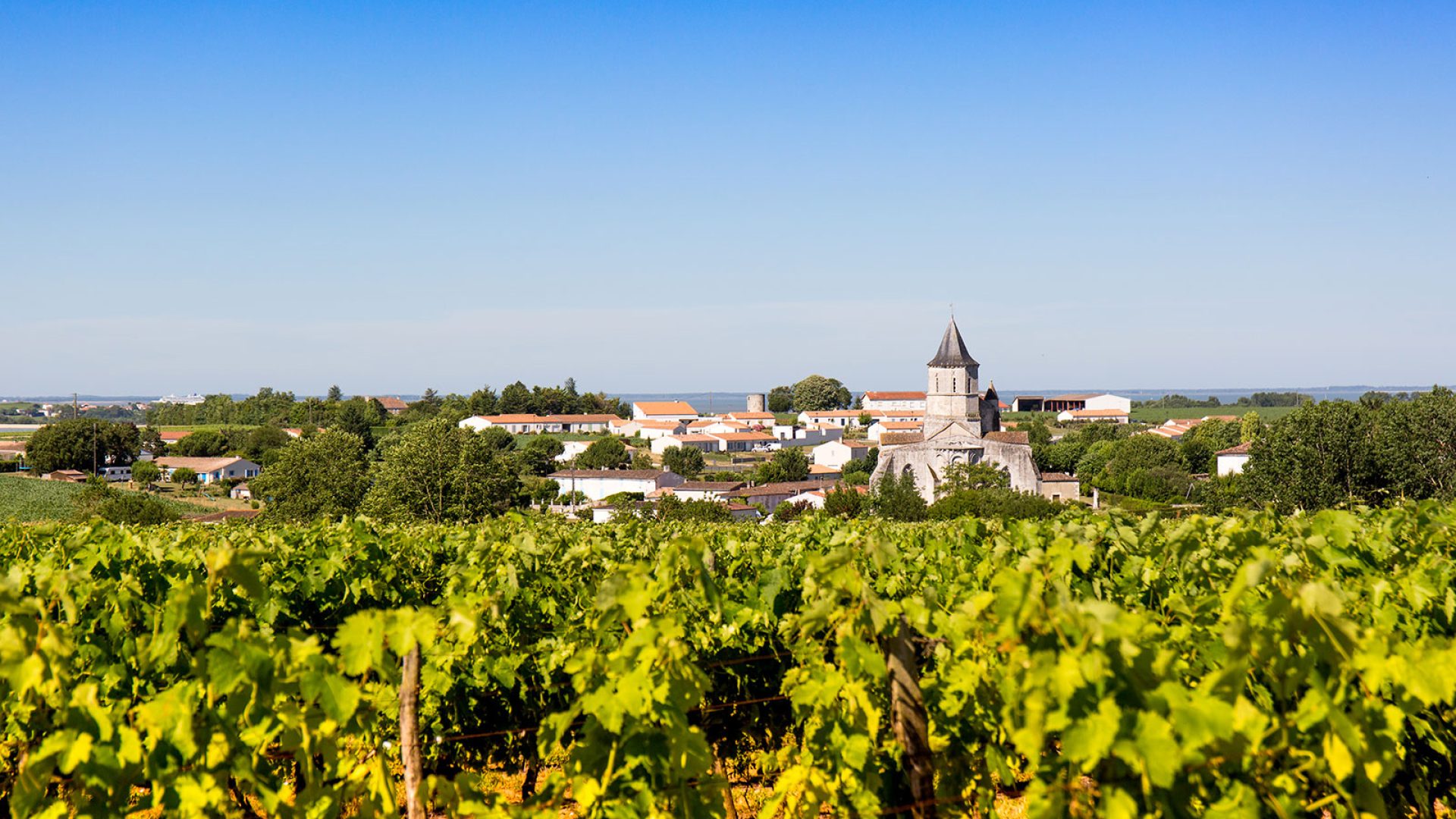 arces-sur-gironde