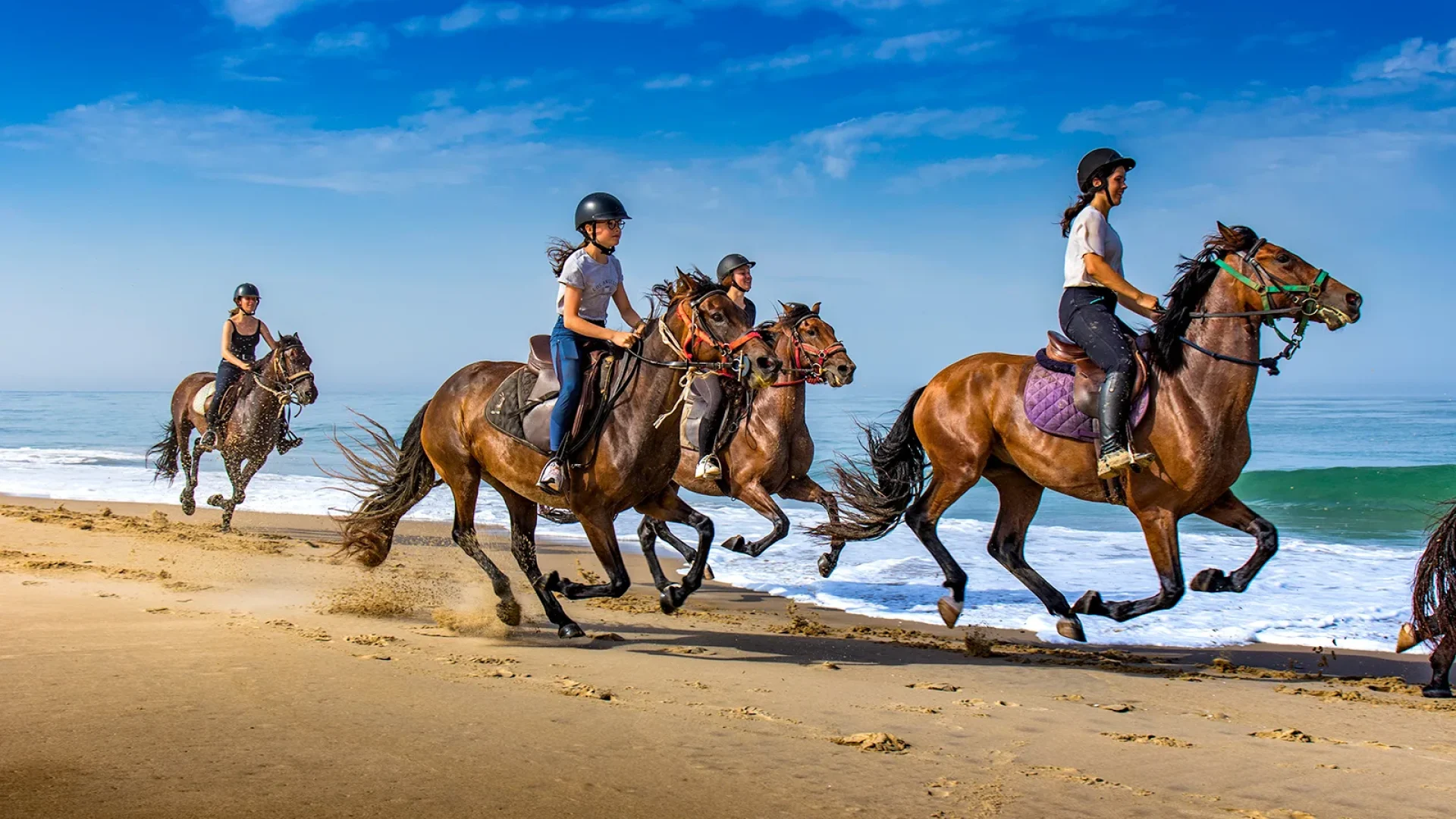 Balade à cheval plage Royan