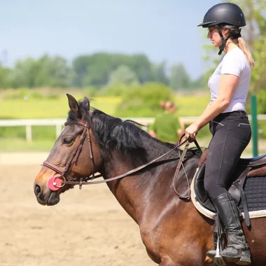 Centres équestres et poneys clubs