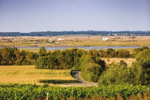 Panorama sur la Seudre depuis le circuit à vélo de Chaillevette