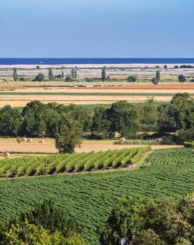 Vignobles Royan Atlantique sur les rives de l'estuaire de la Gironde