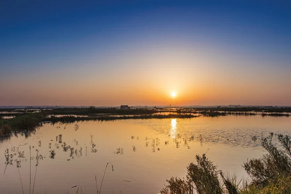 Coucher de soleil sur les marais à la pointe de L'Éguille