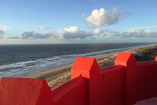 Vue sur la Côte Sauvage depuis le phare de la Coubre