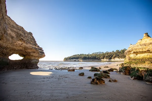 Conche de l'Arnèche à Meschers-sur-Gironde