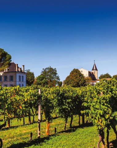 Circuits œnotouristiques dans les vignes à Épargnes