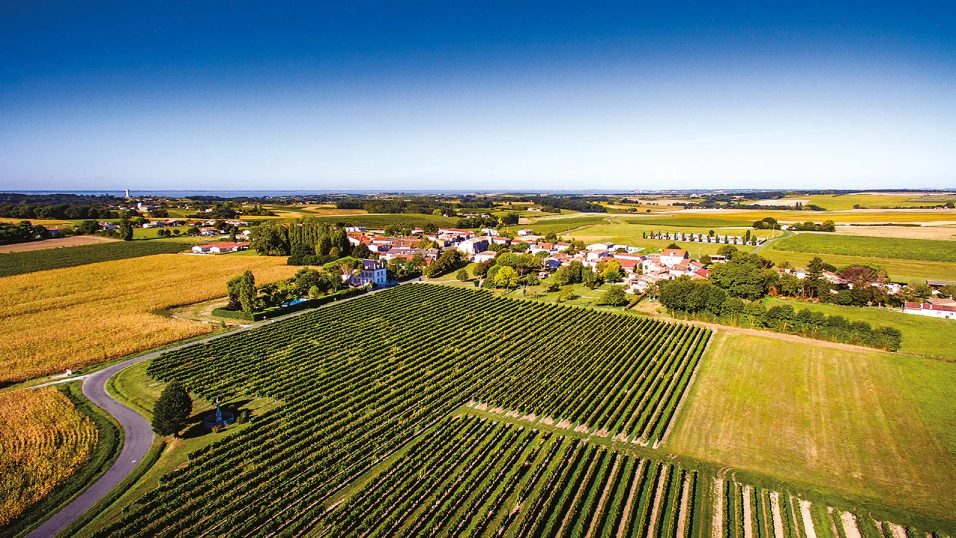 Circuits œnotouristiques dans les vignobles charentais